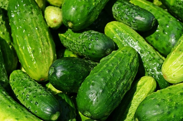 cucumber image