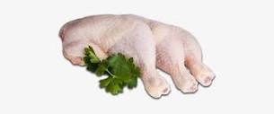 chicken thigh